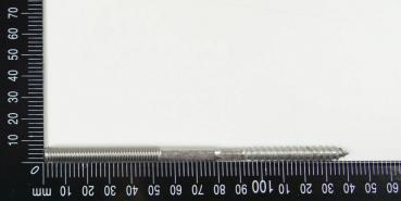 1x Edelstahl Astschrauben/Stockschrauben, M8, 8x140mm