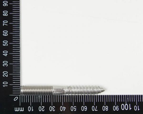 5x Edelstahl Astschrauben/Stockschrauben, M10, 10x80mm