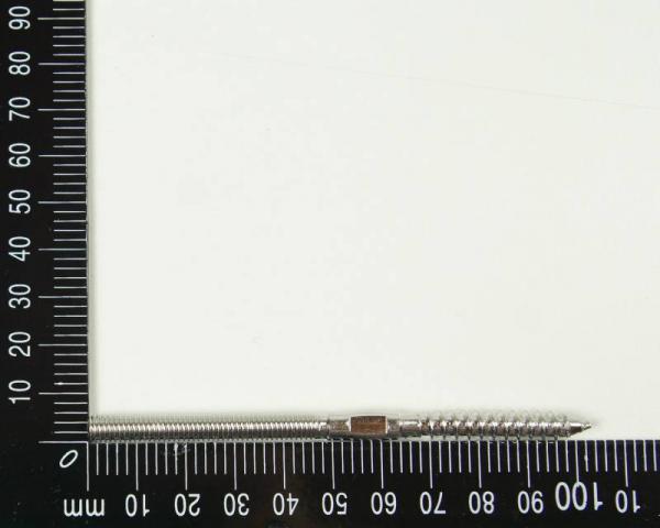 5x Edelstahl Astschrauben/Stockschrauben, M6, 6x100mm